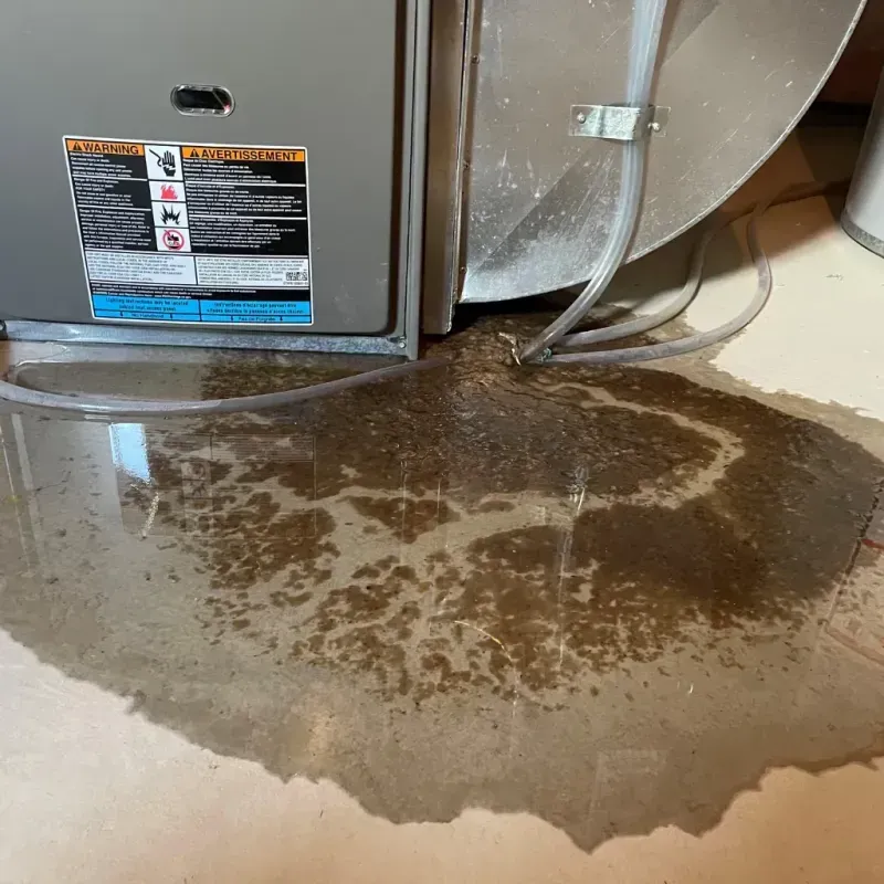 Appliance Leak Cleanup in Hurstbourne Acres, KY